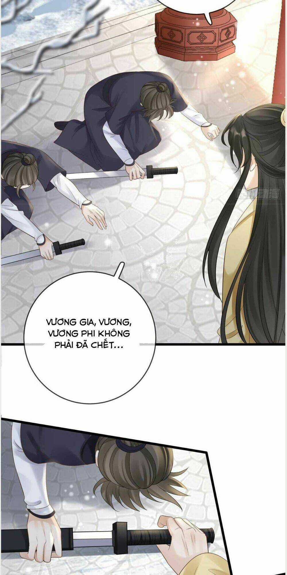 Sự Trả Thù Của Vương Phi Chapter 30 trang 2