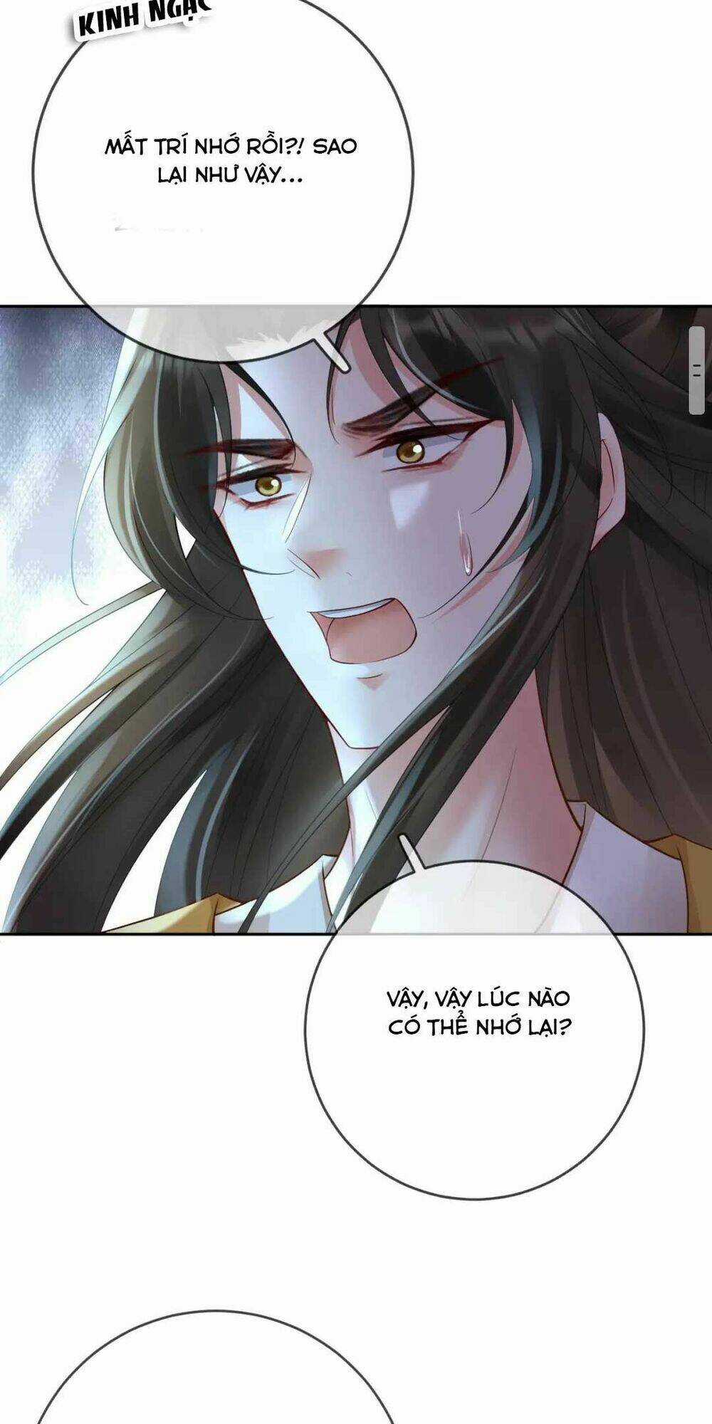 Sự Trả Thù Của Vương Phi Chapter 33 trang 13