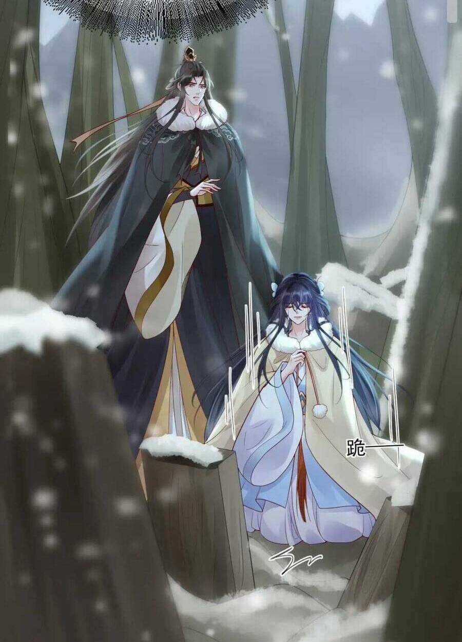 Sự Trả Thù Của Vương Phi Chapter 40 trang 12