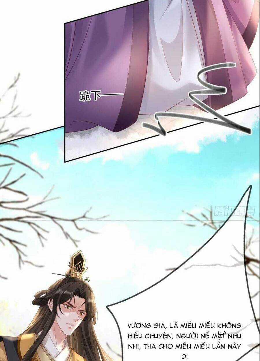 Sự Trả Thù Của Vương Phi Chapter 46 trang 45