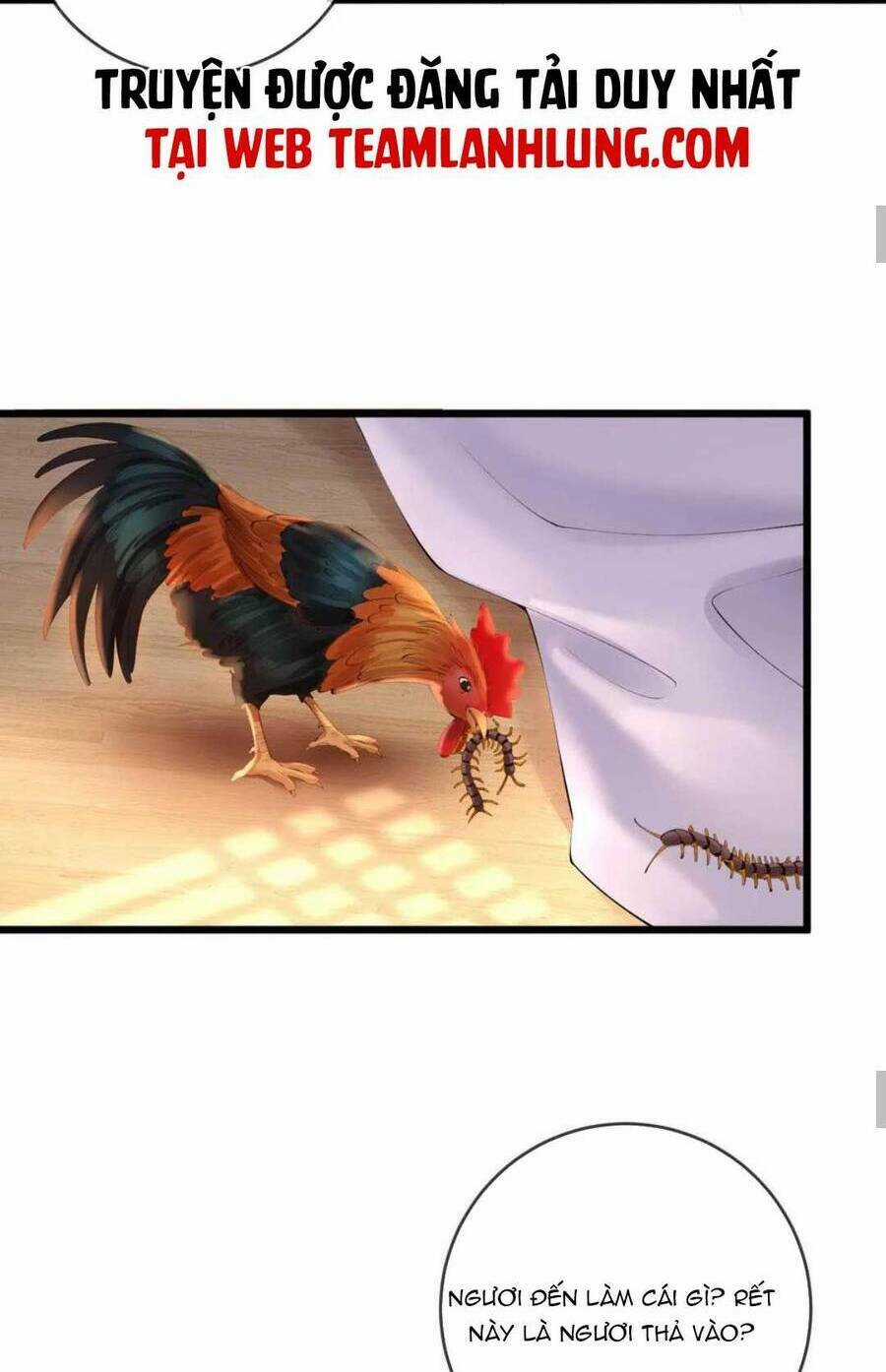 Sự Trả Thù Của Vương Phi Chapter 62 trang 13