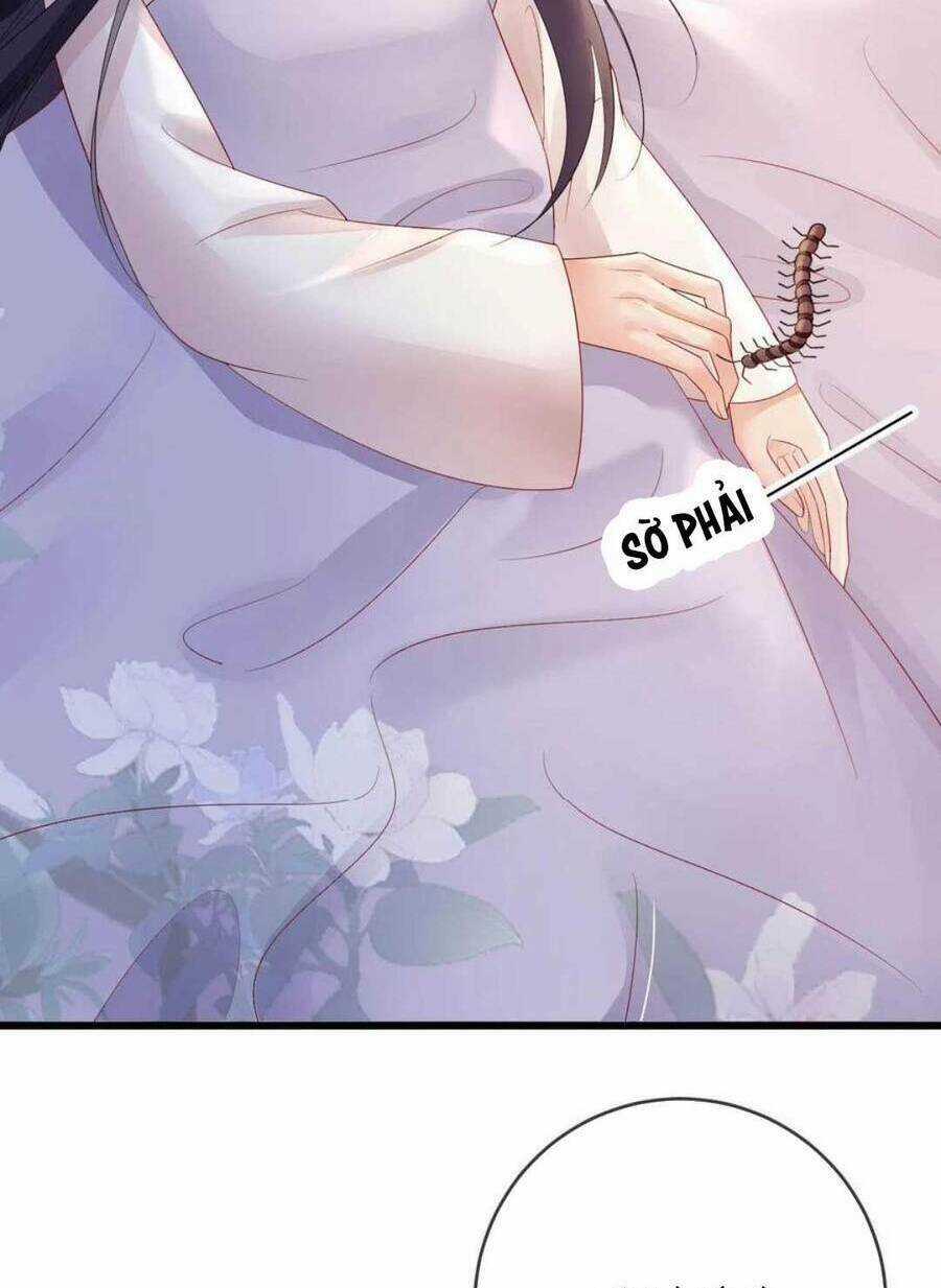 Sự Trả Thù Của Vương Phi Chapter 62 trang 3