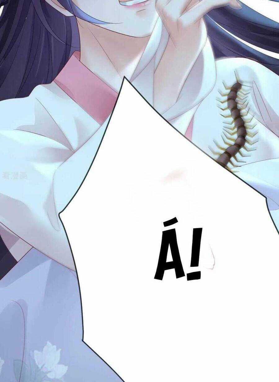 Sự Trả Thù Của Vương Phi Chapter 62 trang 5