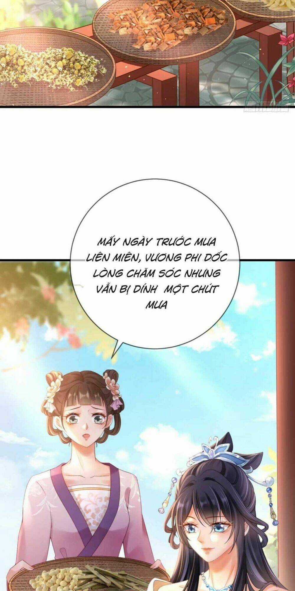 Sự Trả Thù Của Vương Phi Chapter 8 trang 3