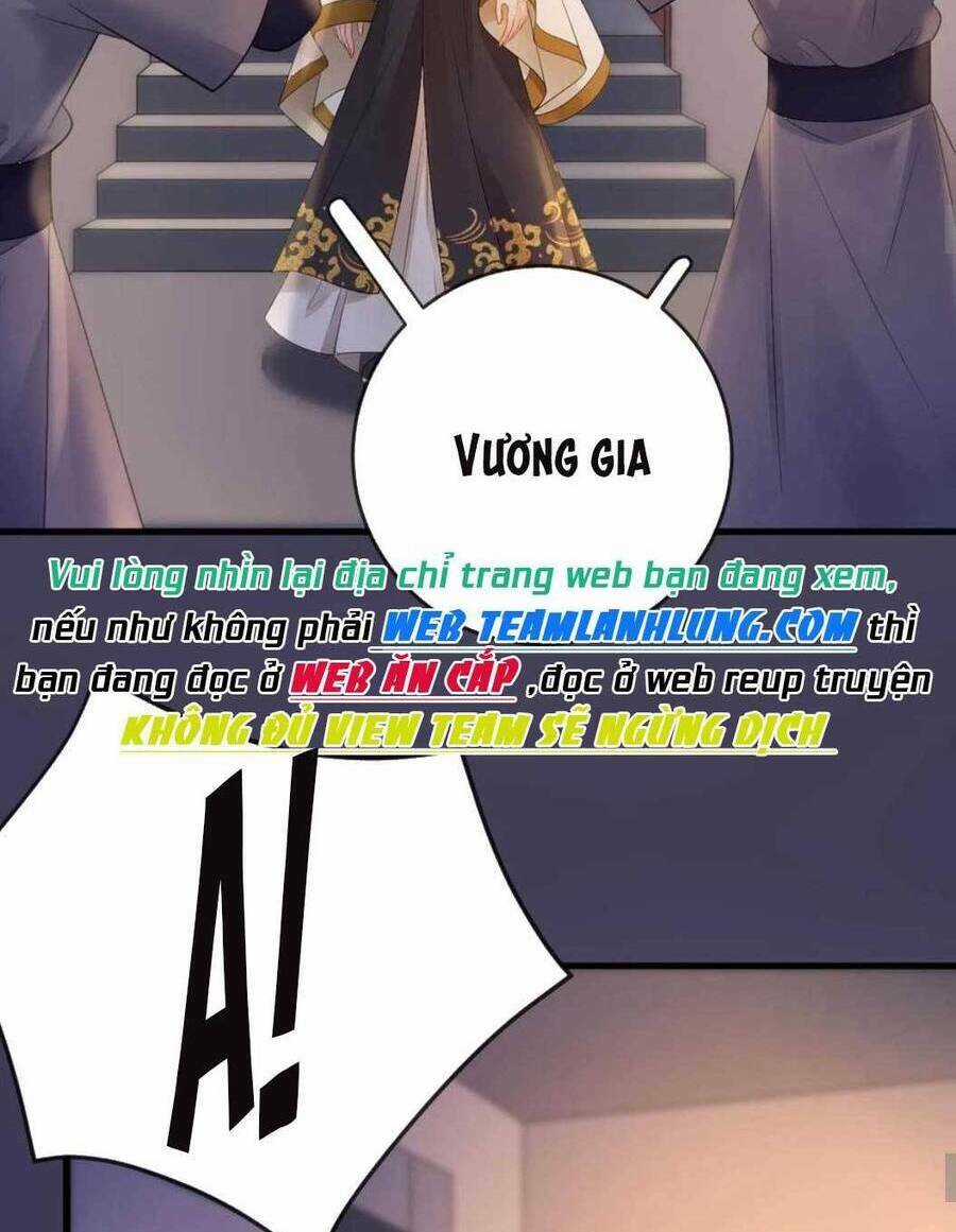 Sự Trả Thù Của Vương Phi Chapter 80 trang 29