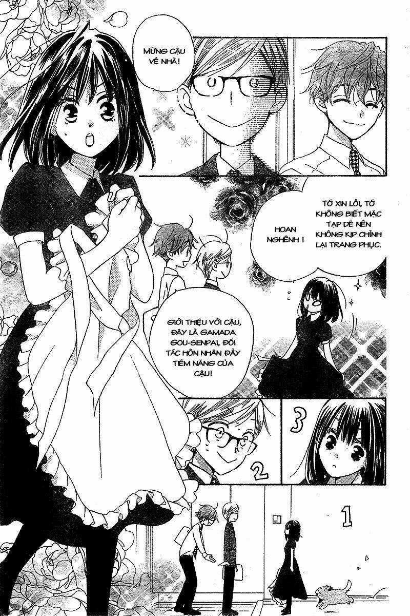 Sự trả thù ngọt ngào Chapter 3 trang 10