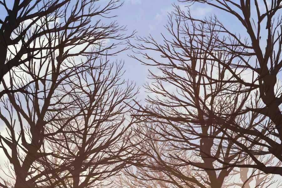 Sự Trở Lại Của Người Chơi Cấp Cao Nhất Chapter 111 trang 109