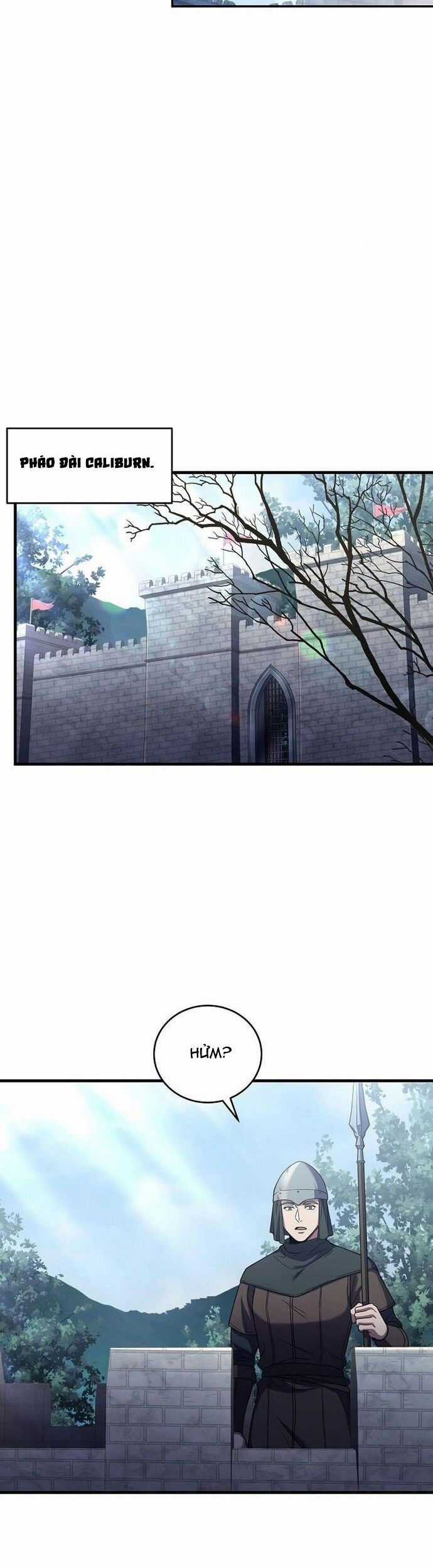 Sự Trở Lại Của Pháp Sư 8 Vòng Chương 112 trang 46