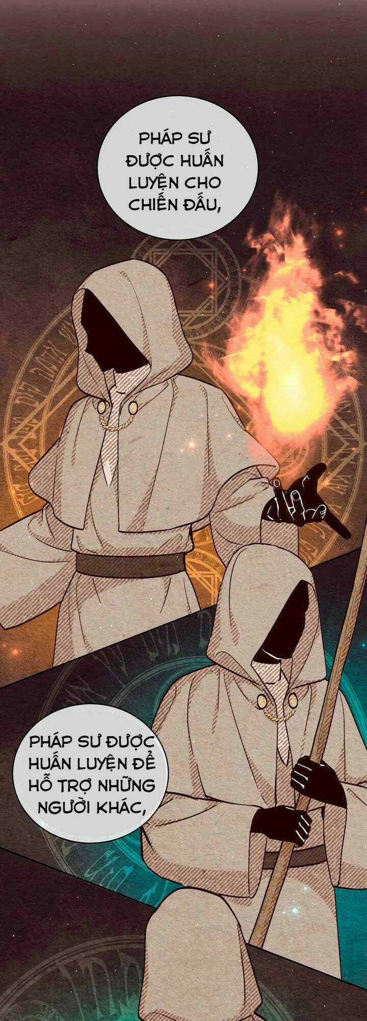 Sự Trở Lại Của Pháp Sư Cấp 8 Chapter 20 trang 17