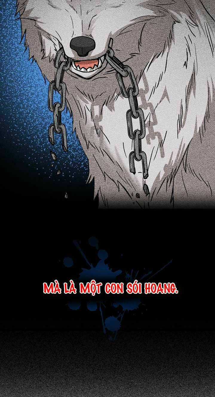 Sự Trở Lại Của Pháp Sư Cấp 8 Chapter 21 trang 47