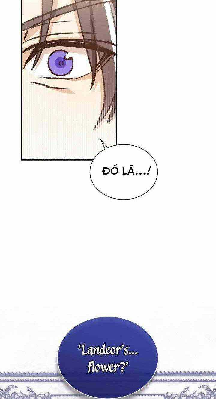 Sự Trở Lại Của Pháp Sư Cấp 8 Chapter 8 trang 17