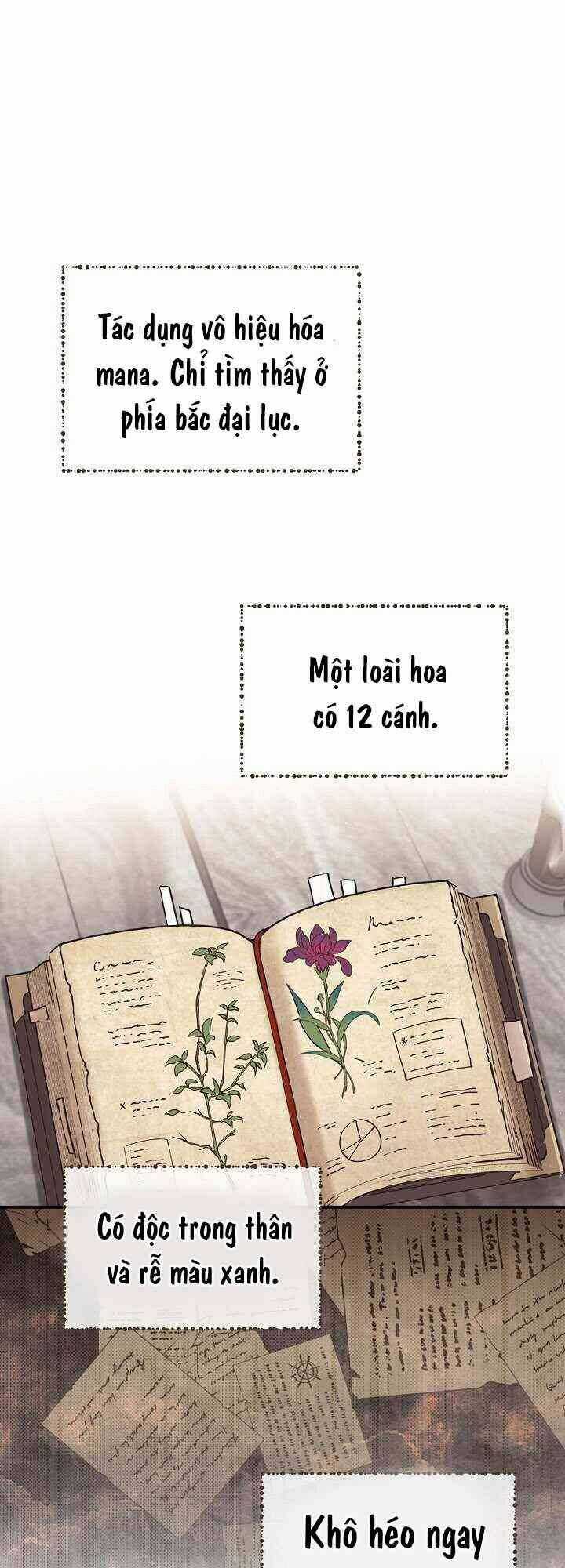 Sự Trở Lại Của Pháp Sư Cấp 8 Chapter 8 trang 24