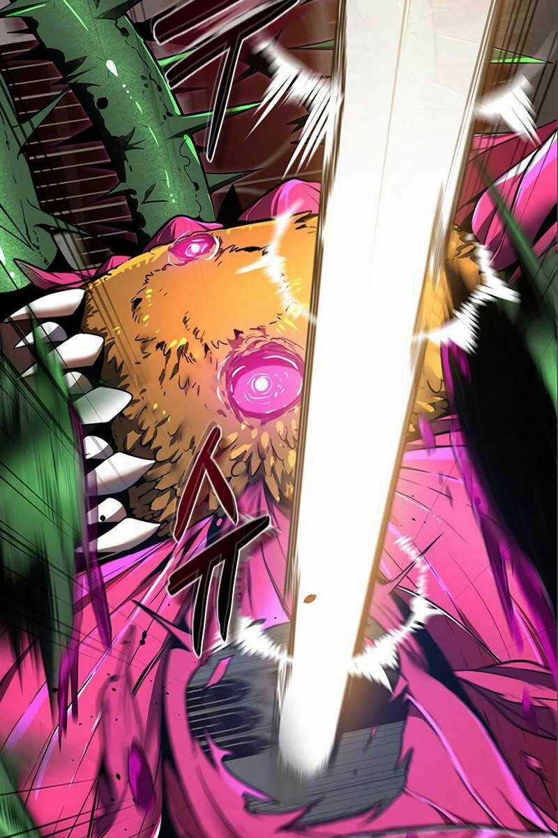 Sự Trở Lại Của Ranker Huyền Thoại Chapter 14 trang 43