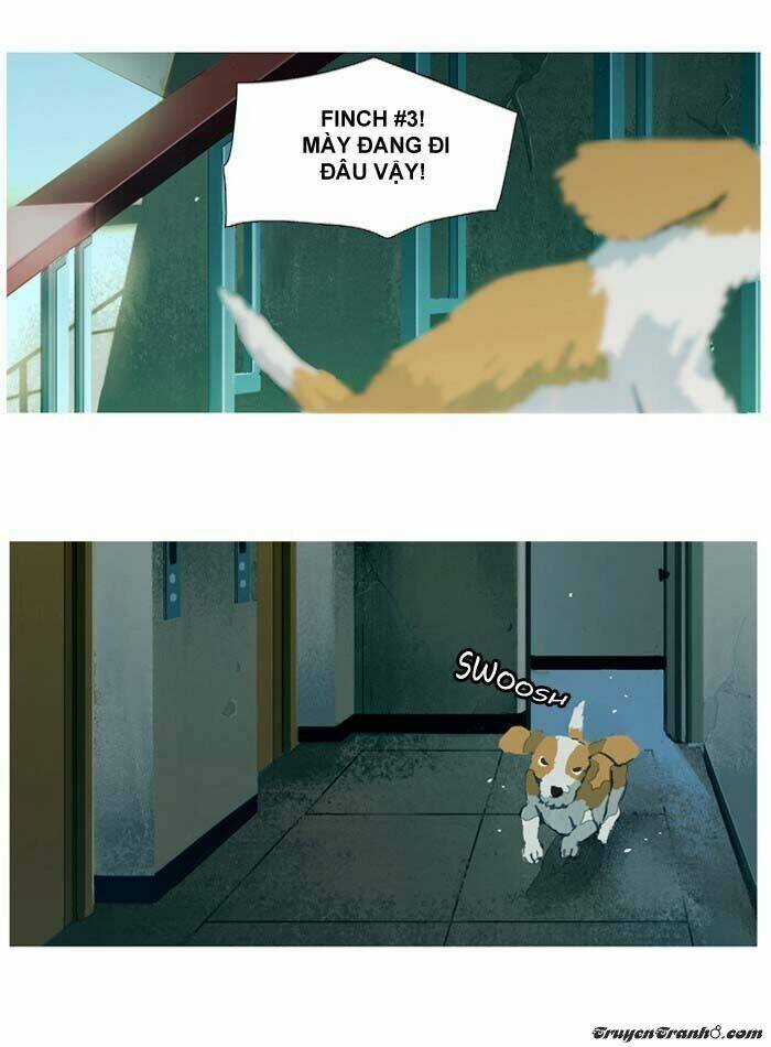 Subtle Disaster Chapter 24 trang 13