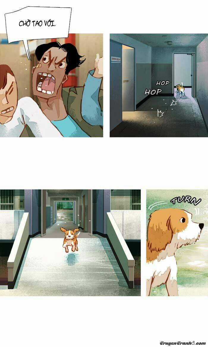 Subtle Disaster Chapter 37 trang 22