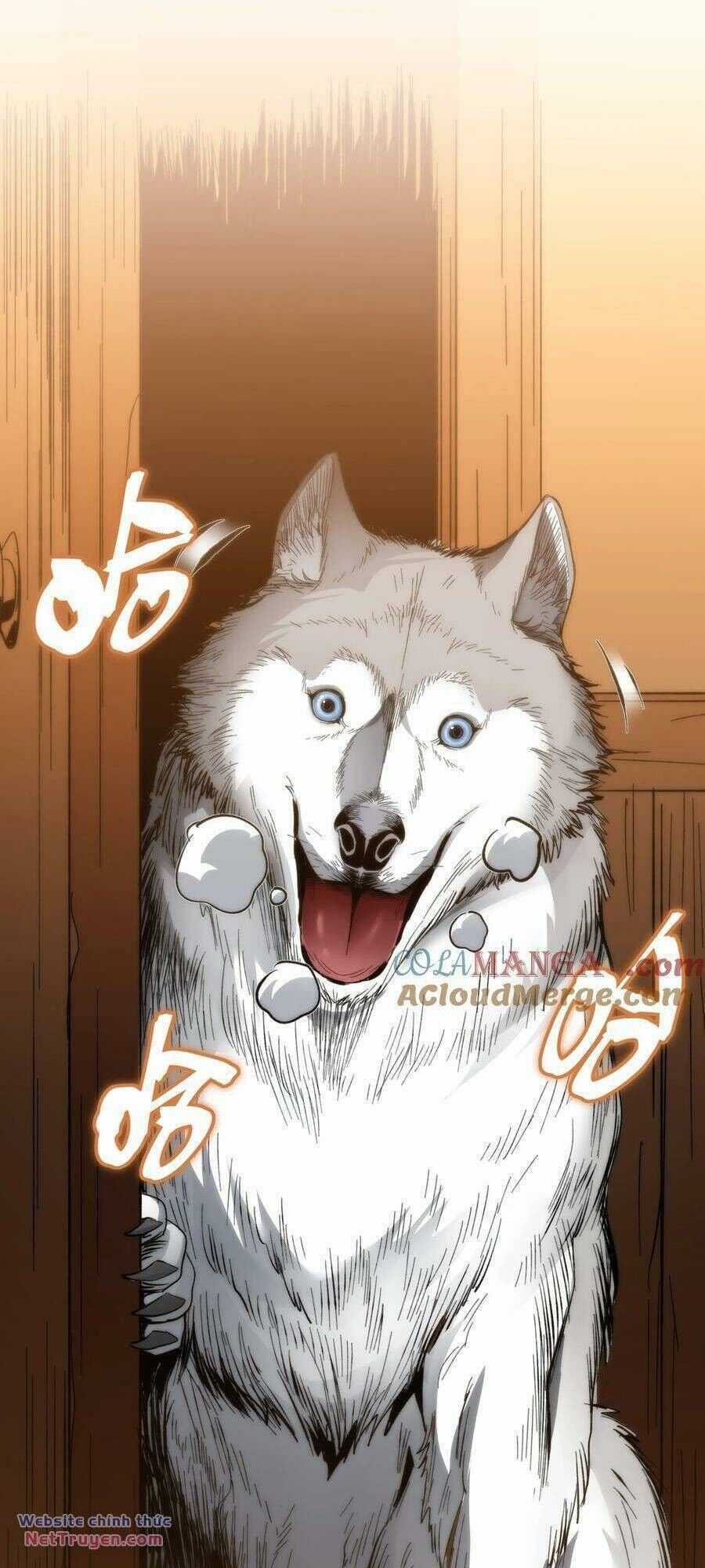 Sức Mạnh Của Ác Thần Chapter 122 trang 13
