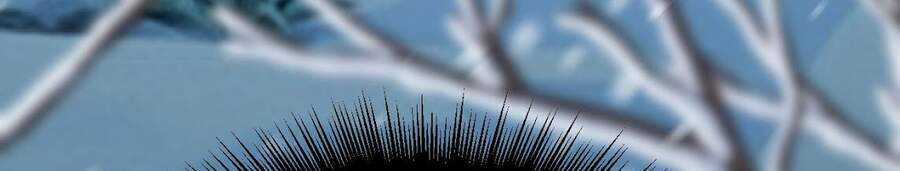 Sức Mạnh Của Kiếm Thần Chapter 16 trang 23