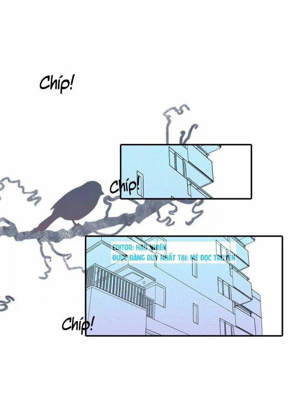 Sugar Pet Chapter 26 trang 10