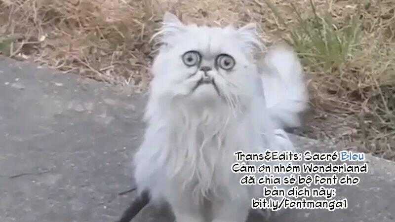 Suicide Parabellum Chapter 5 trang 20