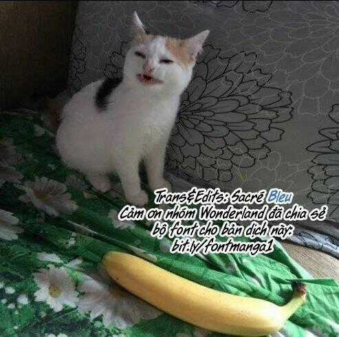 Suicide Parabellum Chapter 6 trang 16