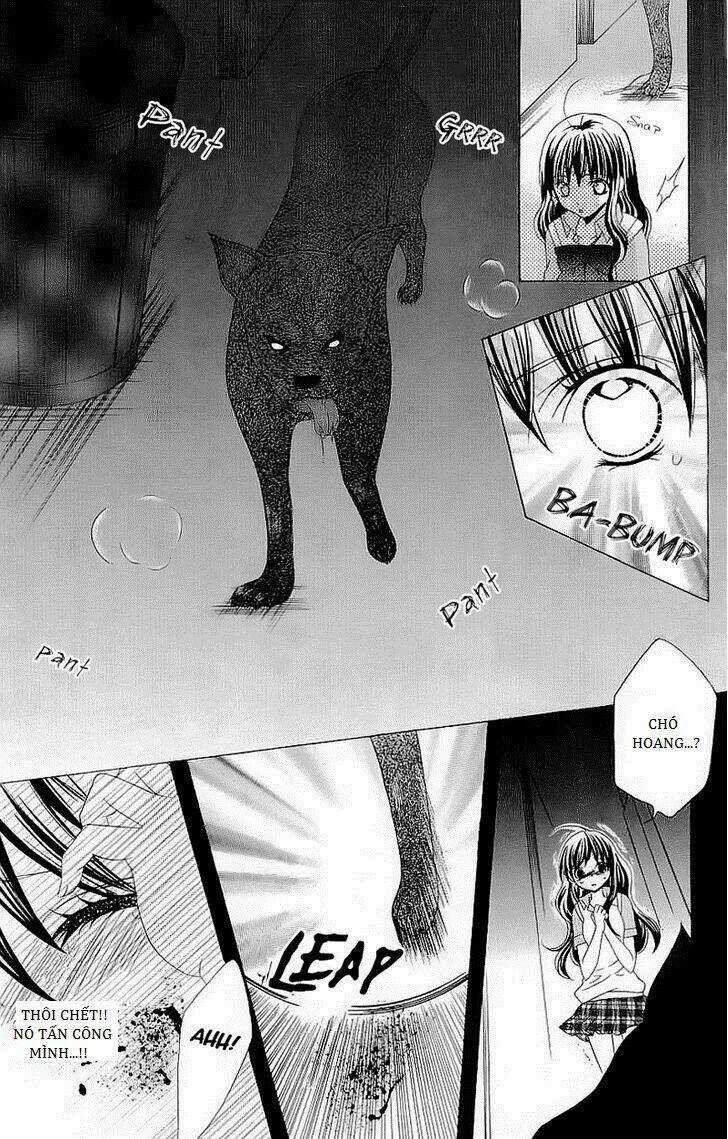 Suki Desu Suzuki-Kun!! Chapter 42 trang 11
