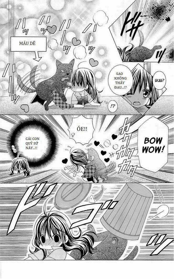 Suki Desu Suzuki-Kun!! Chapter 42 trang 12