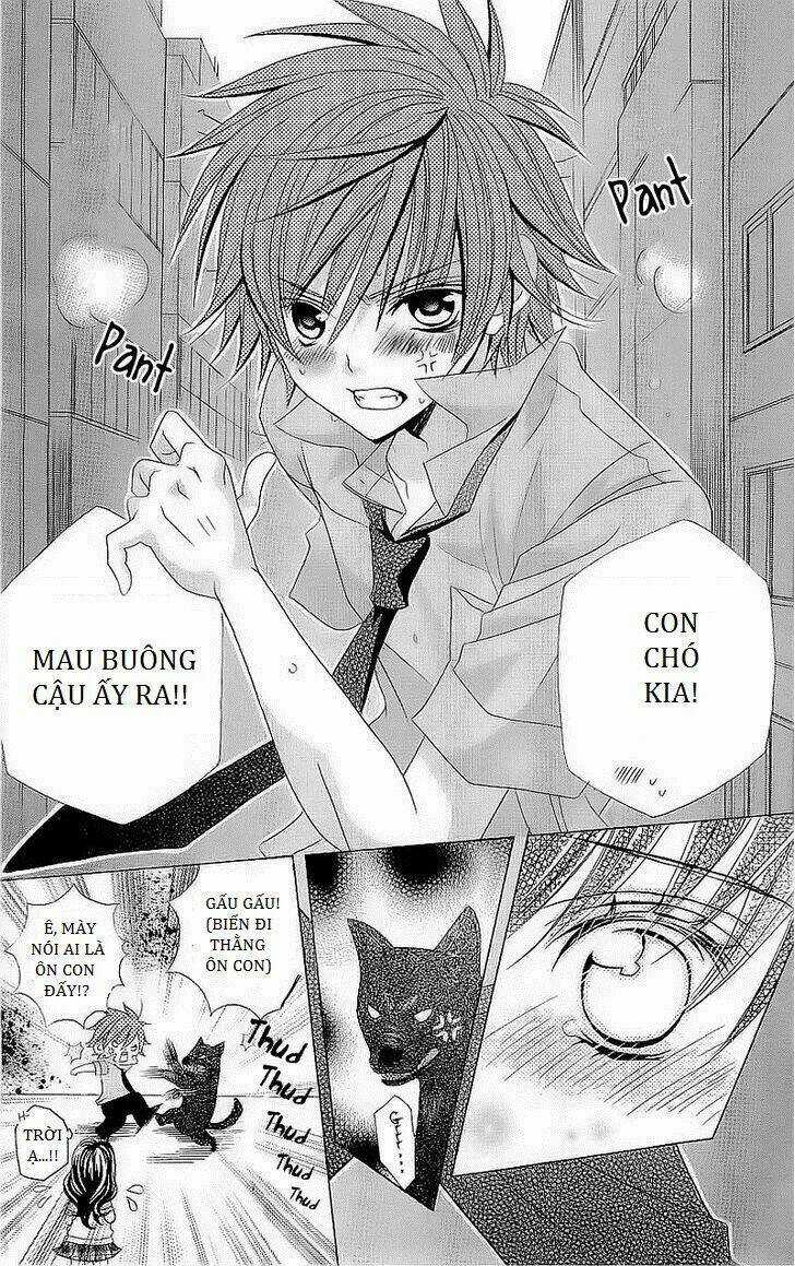 Suki Desu Suzuki-Kun!! Chapter 42 trang 13