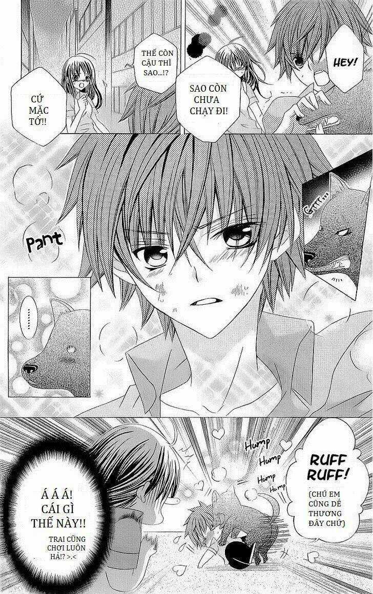Suki Desu Suzuki-Kun!! Chapter 42 trang 14