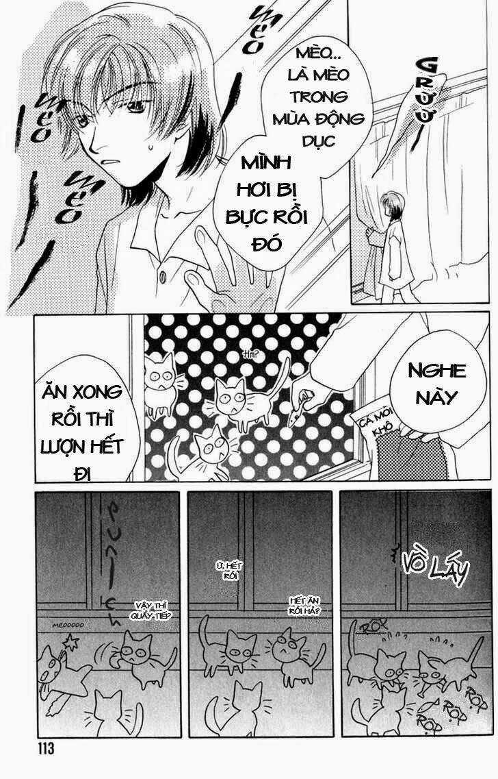 Sukijanai Kedo Aishiteru Chapter 7 trang 3