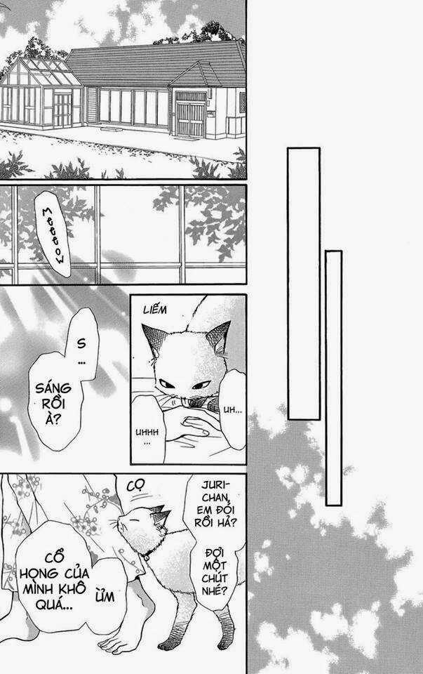 Sumika Sumire Chapter 1 trang 41