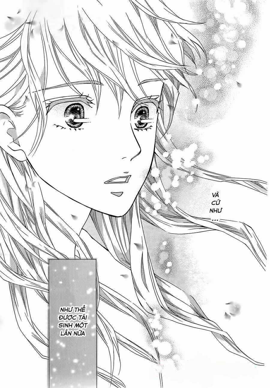 Sumika Sumire Chapter 12 trang 12