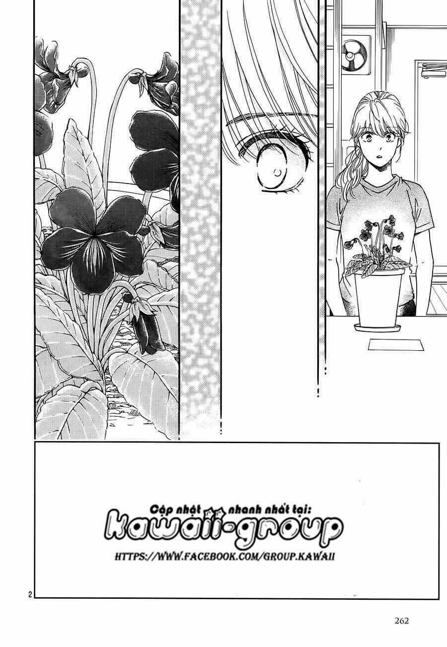 Sumika Sumire Chapter 35 trang 2