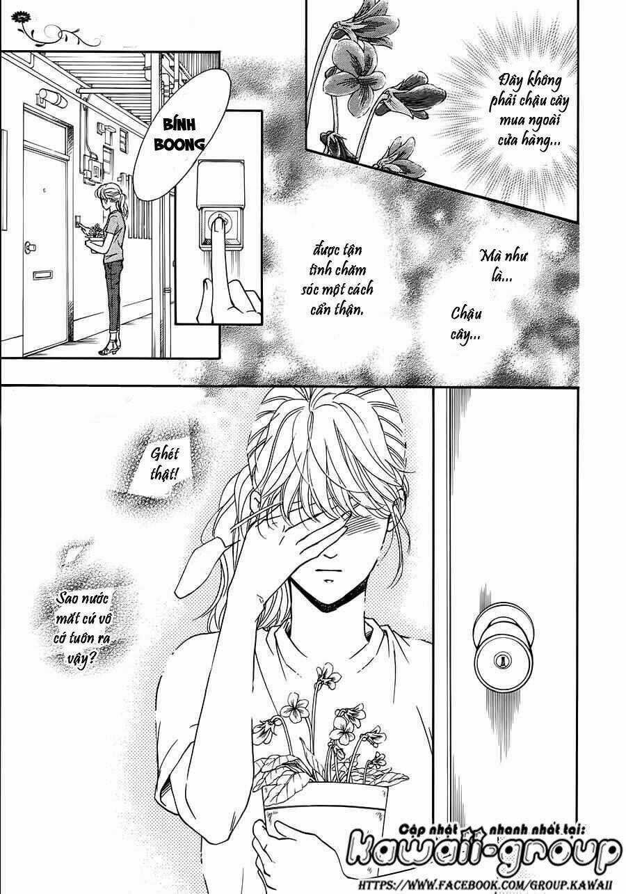 Sumika Sumire Chapter 35 trang 5