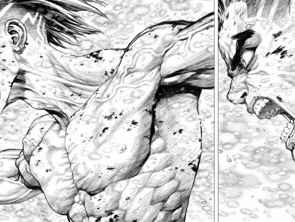 Sun Ken Rock Chapter 156 trang 8