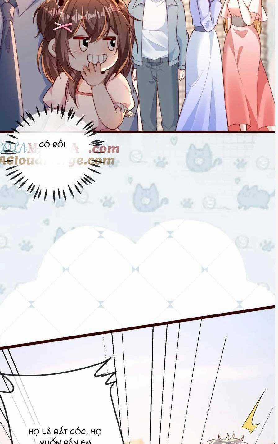 Sủng Bé Cá Koi 3 Tuổi Rưỡi Chapter 205 trang 17