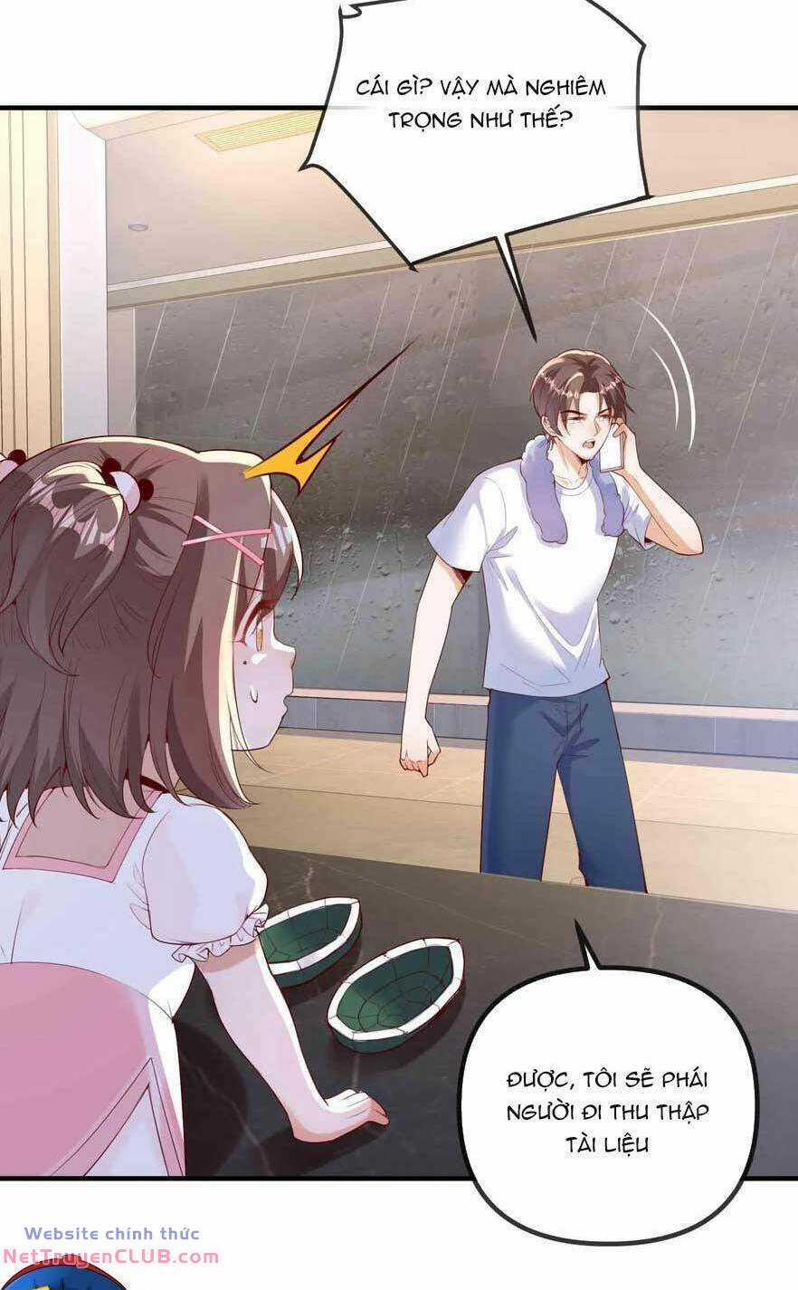 Sủng Bé Cá Koi 3 Tuổi Rưỡi Chapter 208 trang 4