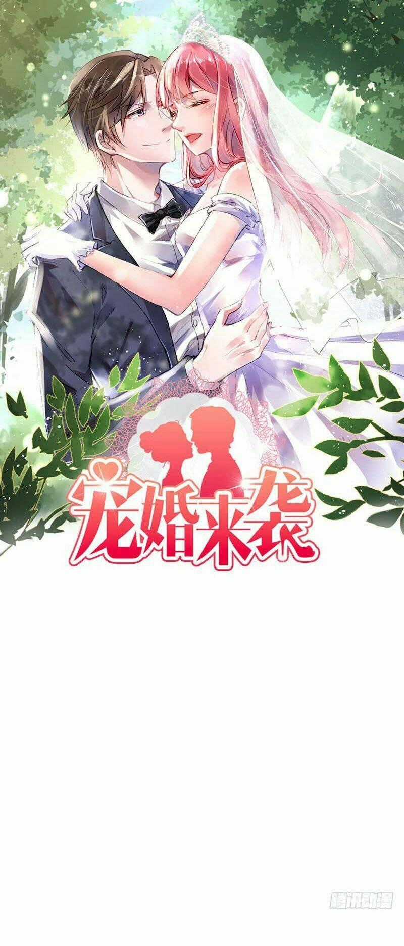 Sủng Hôn Lai Tập Chapter 11 trang 1