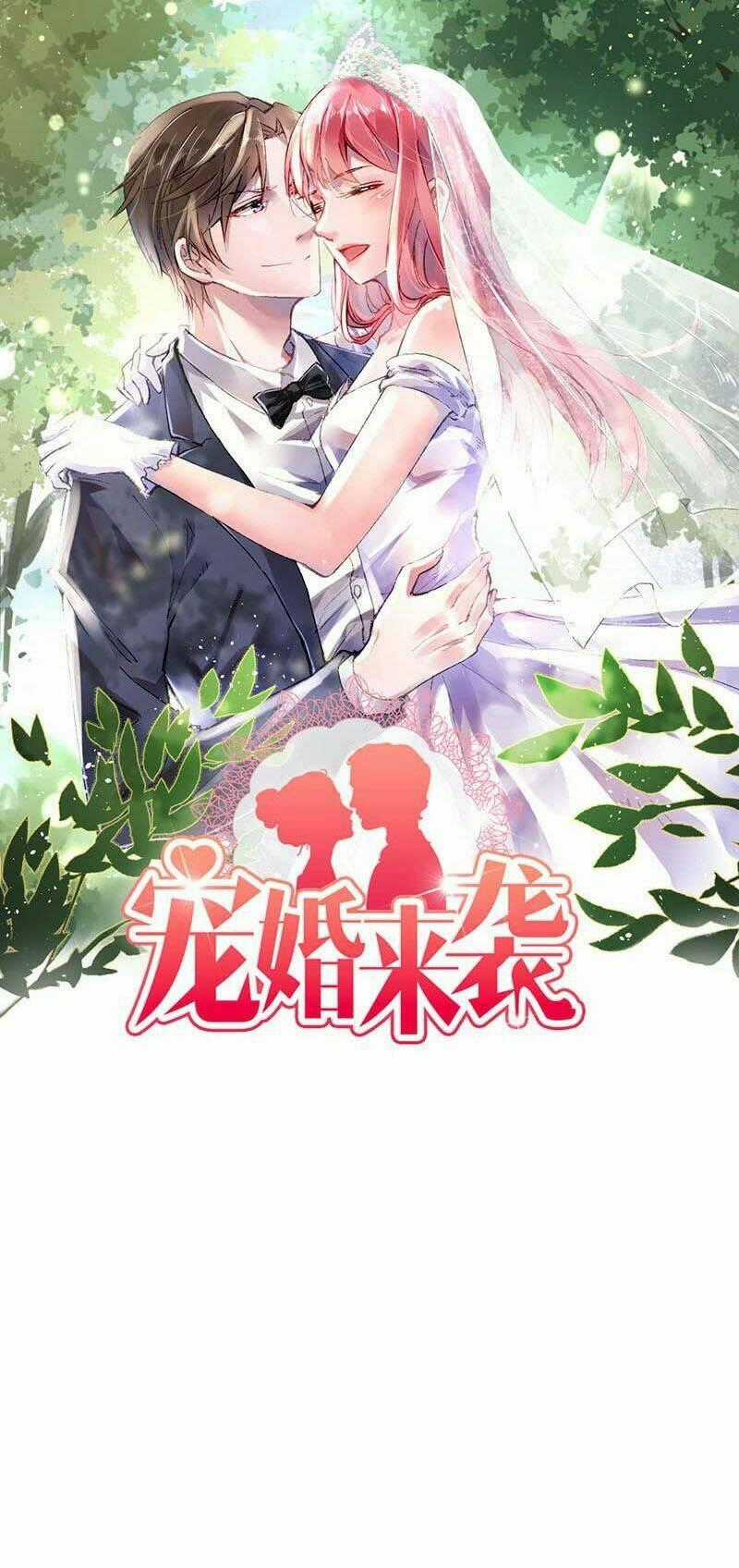 Sủng Hôn Lai Tập Chapter 12 trang 0