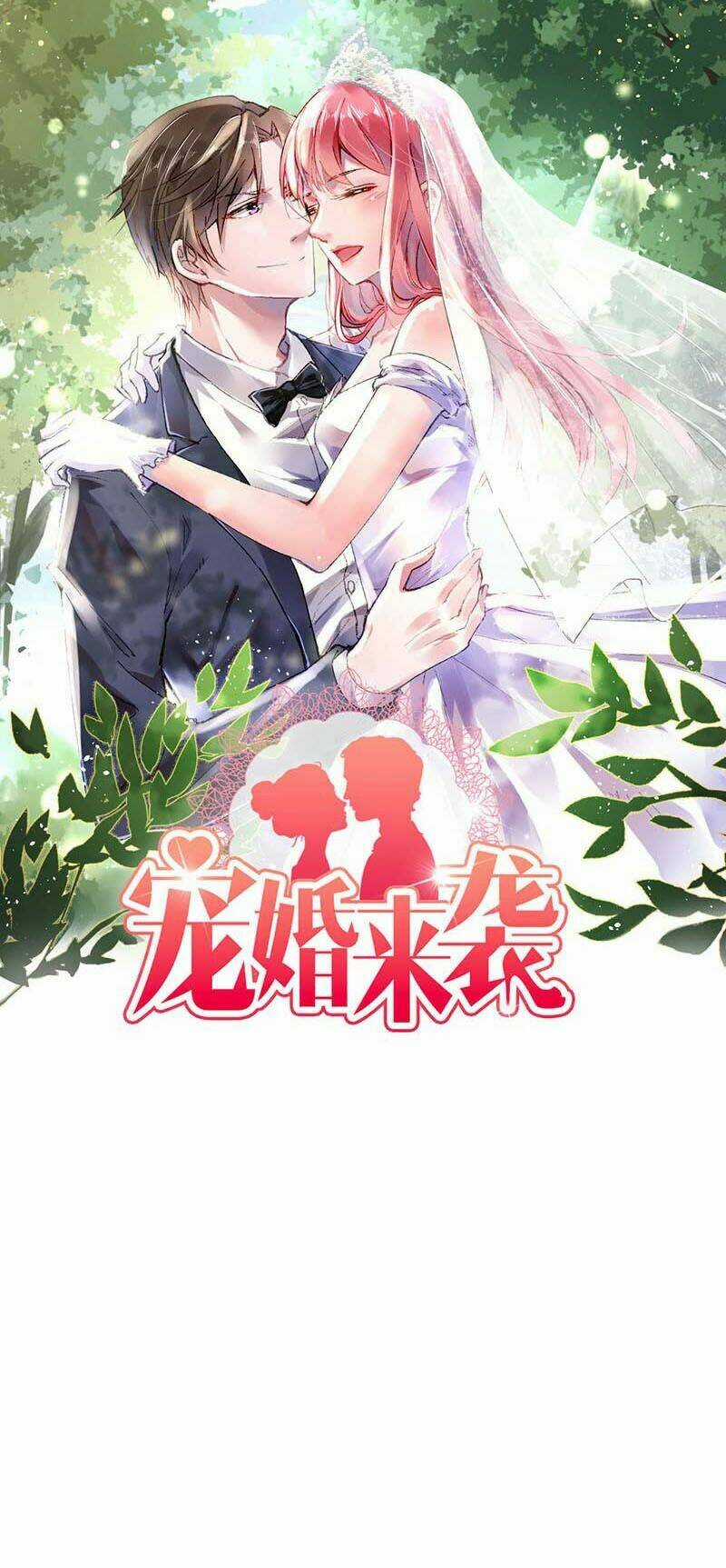 Sủng Hôn Lai Tập Chapter 17 trang 0