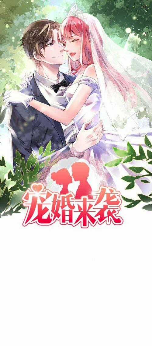 Sủng Hôn Lai Tập Chapter 18 trang 0