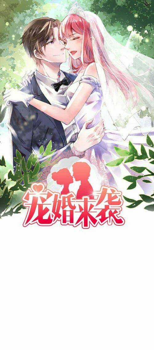 Sủng Hôn Lai Tập Chapter 19 trang 0