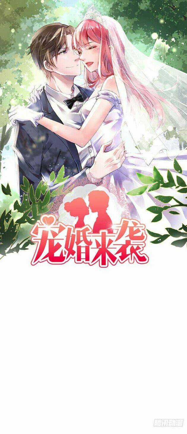 Sủng Hôn Lai Tập Chapter 20 trang 1