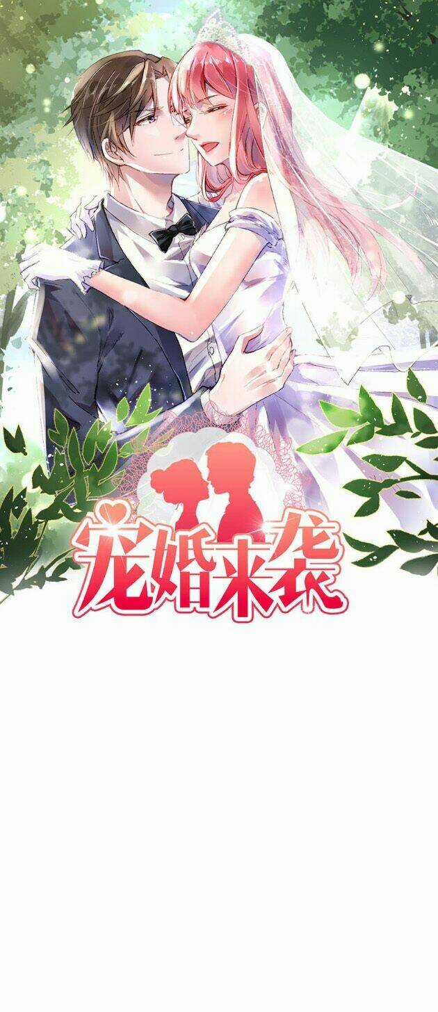 Sủng Hôn Lai Tập Chapter 21 trang 1