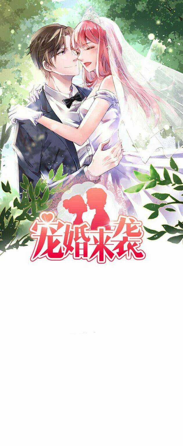 Sủng Hôn Lai Tập Chapter 22 trang 0