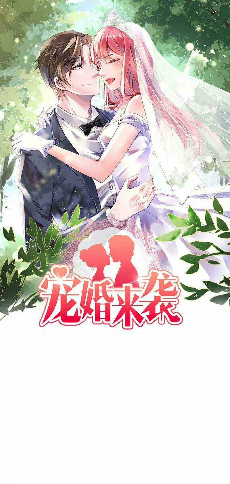 Sủng Hôn Lai Tập Chapter 25 trang 0