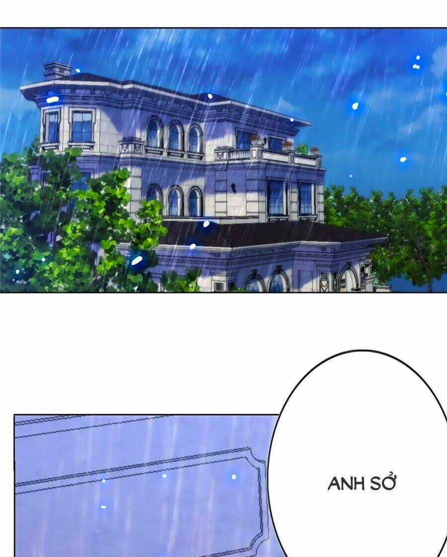 Sủng Hôn Lai Tập Chapter 5 trang 1