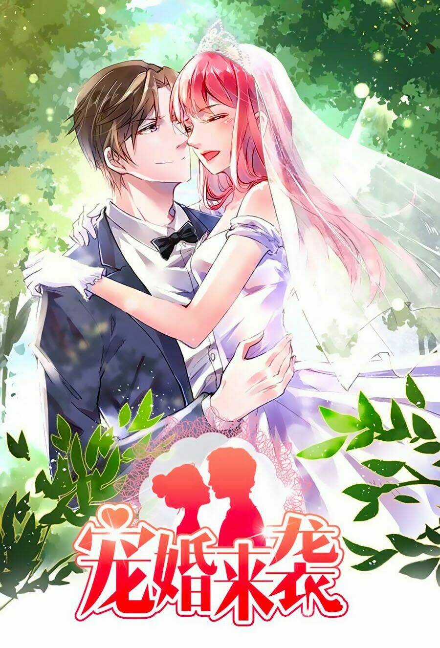 Sủng Hôn Lai Tập Chapter 9 trang 0