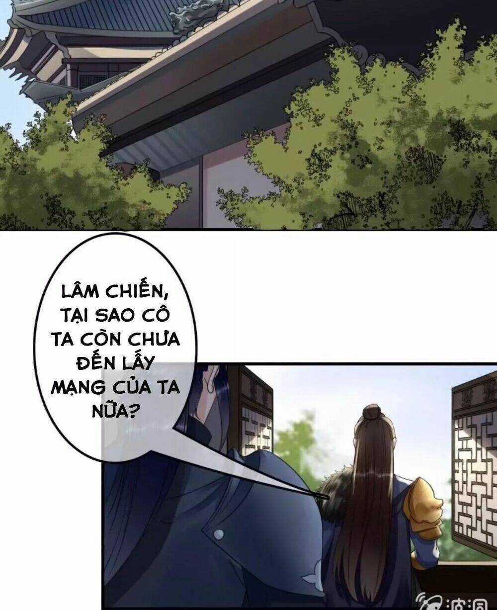 Sủng Phi Của Vương Chapter 111 trang 1