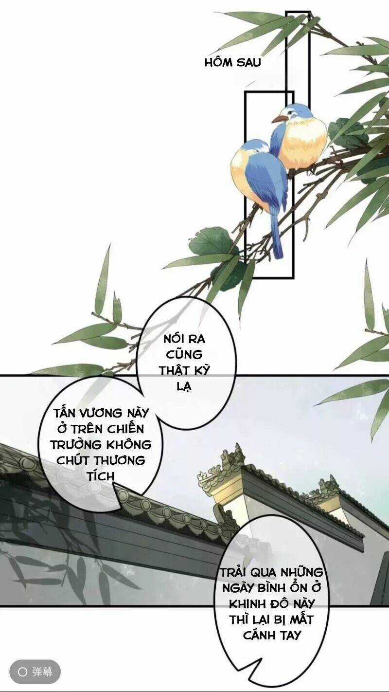 Sủng Phi Của Vương Chapter 134 trang 0