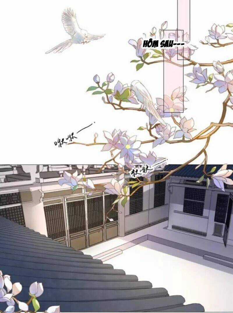 Sủng Phi Của Vương Chapter 142 trang 0